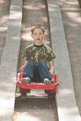 2003_Cub_Camp_Bradley_Wood-040.jpg