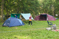 2003_District_Camp_Bradley_Wood-035.jpg