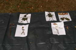2003_Group_Camp_Bradley_Wood-016.jpg