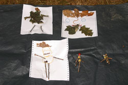 2003_Group_Camp_Bradley_Wood-017.jpg