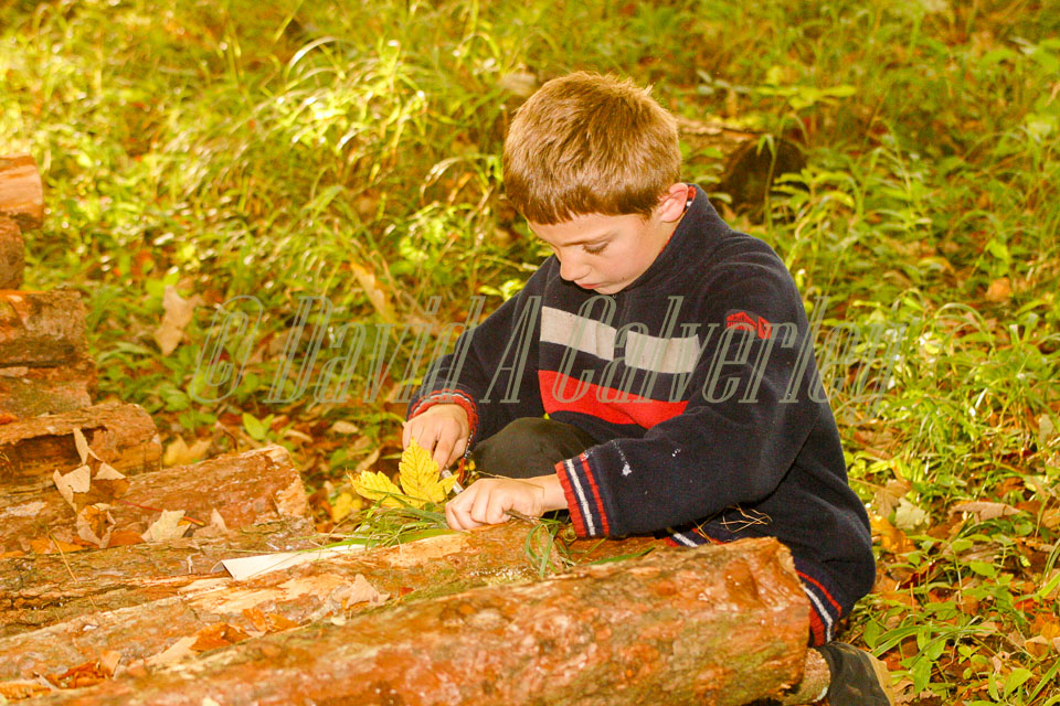 Cubs_In_The_Wood,_K_2003,_009.jpg