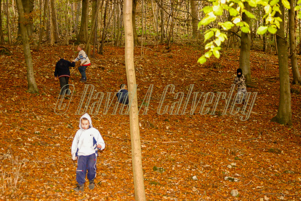 Cubs_In_The_Wood,_K_2003,_013.jpg