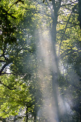 2005_District_Camp_Bradley_Wood-052.jpg