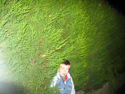 2006_Dark_Night-010.jpg
