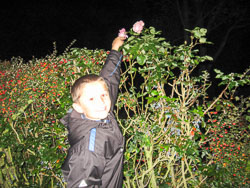 2006_Dark_Night-023.jpg
