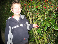 2006_Dark_Night-024.jpg