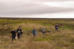 2006_Activities