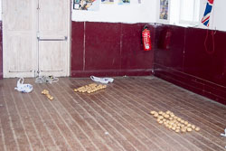Cub_Spud_Night_01.jpg