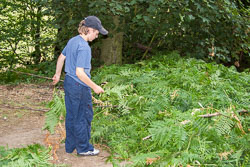 Summer_Scout_2006_005.jpg
