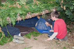 Summer_Scout_2006_008.jpg