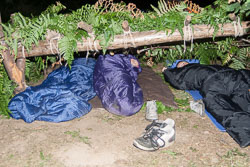 Summer_Scout_2006_012.jpg