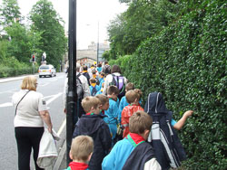 2007_Beavers_In_York-025.jpg