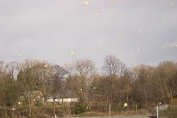 Balloon_Launch__29.jpg