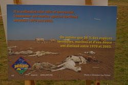 Jamboree__031.jpg