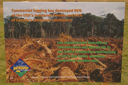 Jamboree__033.jpg