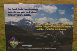 Jamboree__035.jpg