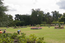 Jamboree__117.jpg