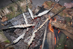 Group_Camp_2009_140.jpg