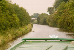 Canal_2005_500.jpg