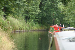 Llangollen_Canal-006.jpg