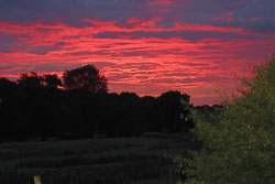 Red_Sky-003.jpg