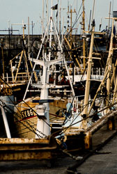 Bridlington_Harbour_-005.jpg