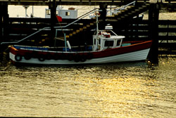 Bridlington_Harbour_-024.jpg