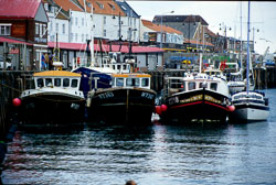 Whitby_Harbour_-008.jpg