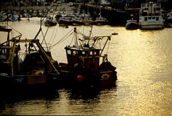 Bridlington_Harbour_-022.jpg