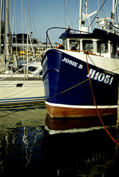Bridlington_Harbour_-026.jpg