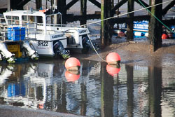 Bridlington_Harbour_-049.jpg