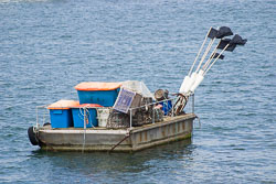 Brixham_060.jpg
