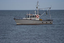 Brixham_104.jpg