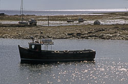 Farne_Islands_002.jpg