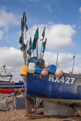 Hastings_-016.jpg