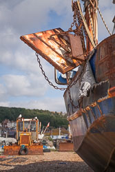 Hastings_-025.jpg