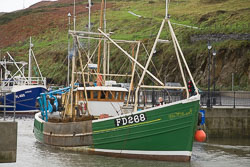Peel_019.jpg