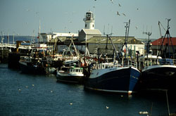 Scarborough_Harbour_006.jpg