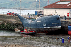 Scotland_109.jpg