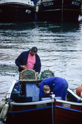 Transport019.jpg