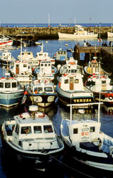 Whitby_Harbour_-006.jpg