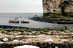 Yorkshire_186.jpg