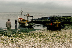 Yorkshire_191.jpg