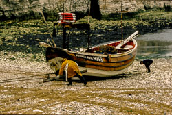 Yorkshire_196.jpg