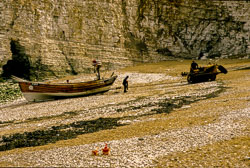 Yorkshire_213.jpg
