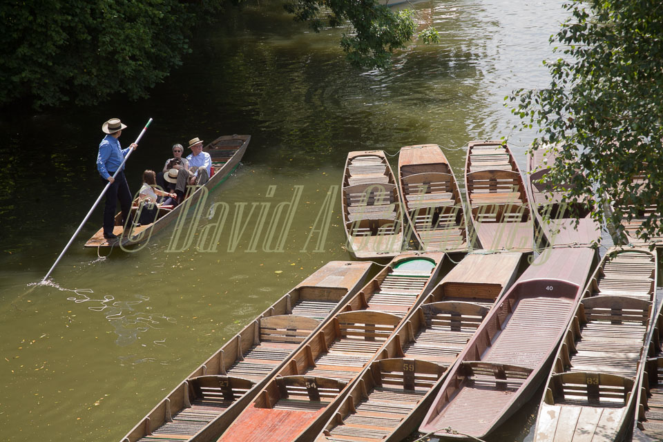 Punts,_River_Cherwall,_Oxford_003.jpg
