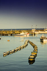 Bridlington_Harbour_-060-1.jpg