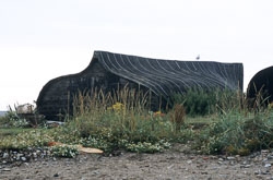 Holy_Island_068.jpg