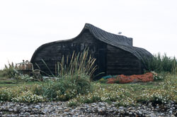 Holy_Island_069.jpg
