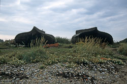 Holy_Island_070.jpg